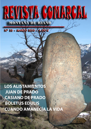Revista Comarcal nº 33