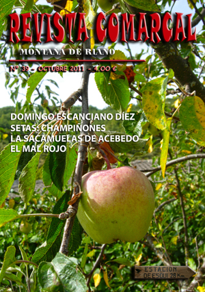 Revista Comarcal nº 39