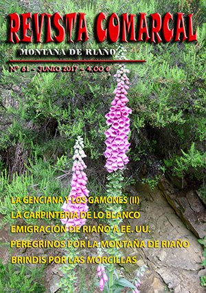 Revista Comarcal nº 61