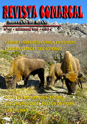 Revista Comarcal nº 67
