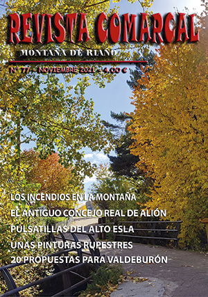 Revista Comarcal nº 77