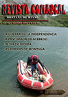 Revista 31